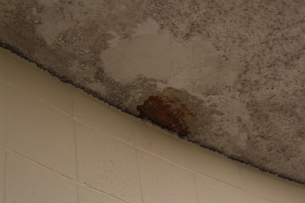 NEW ROOF COMING? -- After years of leaky roofs, Central High is on the list for roof replacement any day, according to principal Mr. Finley King.