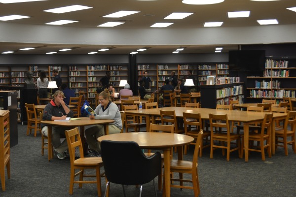 LIBRARY MAKEOVER -- Melinda Martin is working hard to freshen up the look of the Central High School Library.