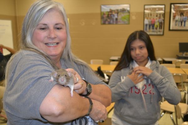 FREUD AND LEOPALD SHOW AP PSYCHOLOGY CLASS SOME LOVE -- AP Psychology teacher Tina Staton (left) and Yoselin Tesorero (right) interact with their furry subjects.