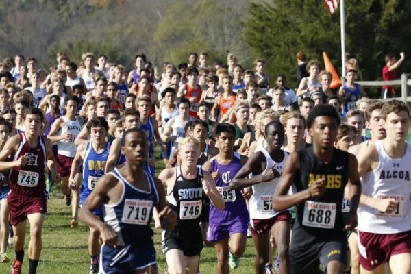 CROSS COUNTRY DOMINATES STATE -- The Cross Country team places 14th in state.