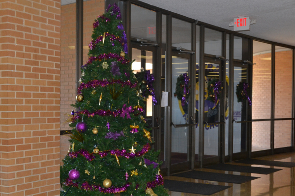 CENTRAL HIGH SCHOOL GETS IN THE FESTIVE SPIRIT BY PUTTING UP A PURPLE AND GOLD CHRISTMAS TREE-- The purple and gold Central High Christmas tree in front of the office