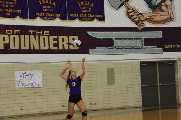 ITS A SERVE! -- Central Volleyball Player Ina Henderson serves the ball to Walker Valley. 