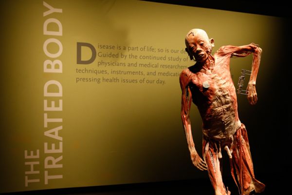 TRIP TO BODIES: THE EXHIBITION SHOWS STUDENTS INSIDE THE HUMAN BODY -- The entrance to the exhibit features a posed male specimen