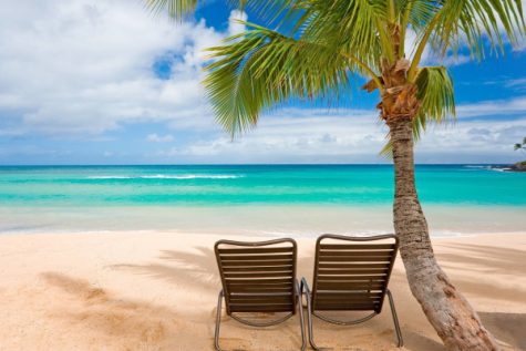 Have A Wonderful Summer — The Digest Returns on August 7
