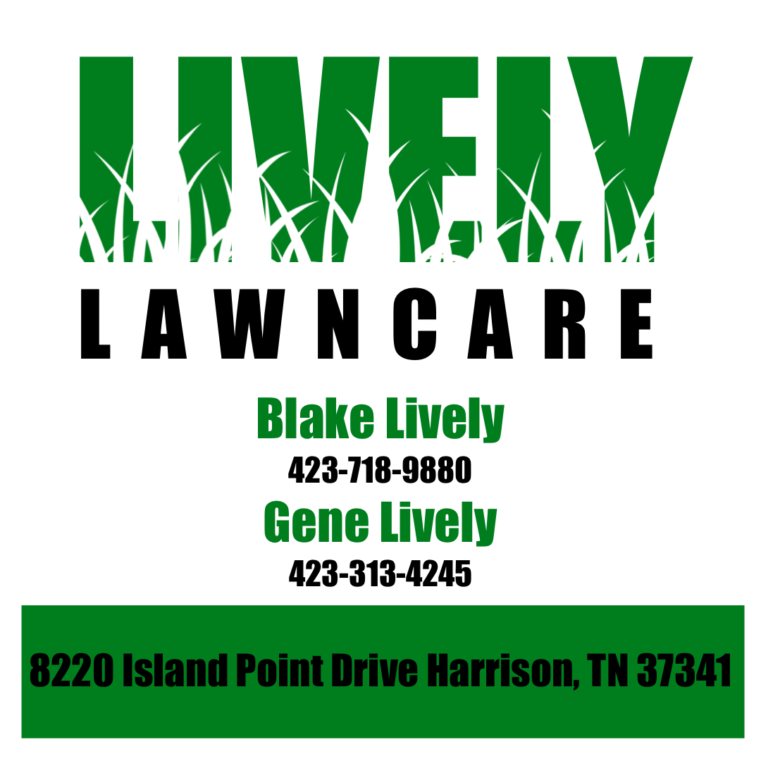 Advertisement