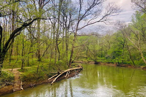 HOW TO ENJOY SPRING BREAK WHILE SOCIAL DISTANCING — Students can still spend time outside, learn a new skill, and try other new things despite the mandatory stay at home orders issued by Tennessee Governor Bill Lee and Mayor Andy Burke. 