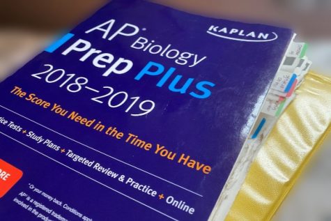 Rescheduled AP Tests to be Taken Online and at Home