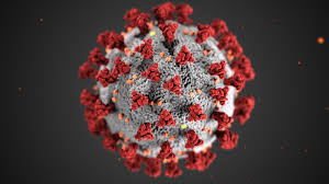 COVID-19 TESTS NOW AVAILABLE AT CENTRAL -- Above is a image of the COVID-19 virus that has impacted the world for roughly a year.