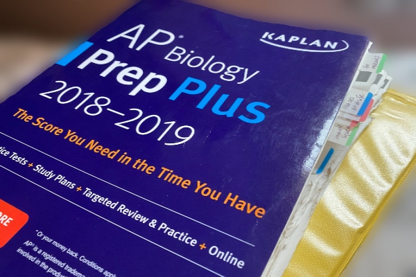 (FILE PHOTO) -- The 2018-2019 AP Biology Prep Book